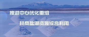 国家盐湖资源综合使用工程手艺研究中心第四届手艺委员会聚会召开
